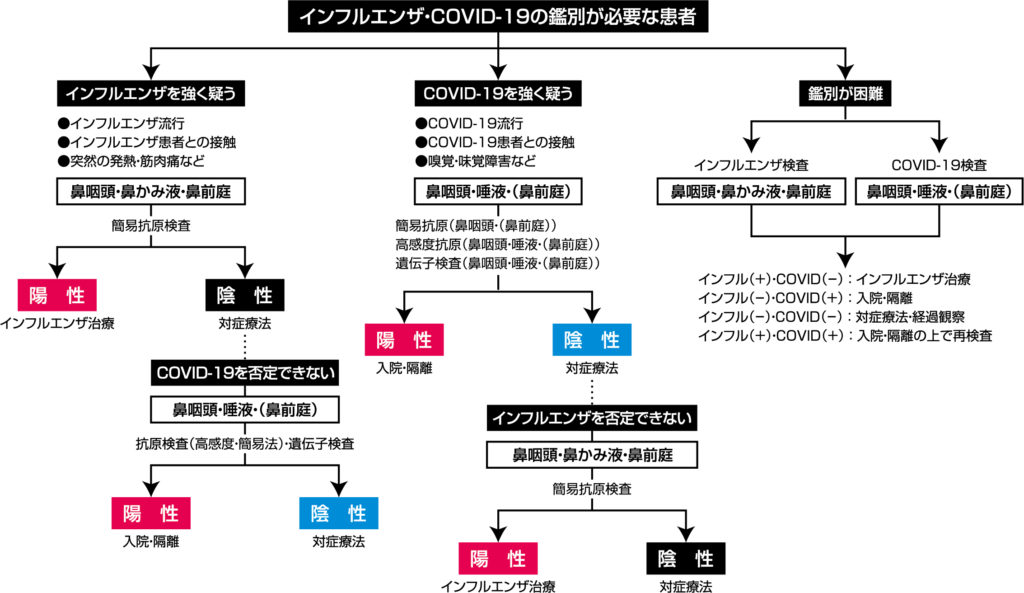 日本感染症学会提言の診療検査のフローチャート